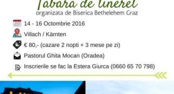 TabÄƒrÄƒ de tineret cu GhiÈ›Äƒ Mocan Ã®n Austria