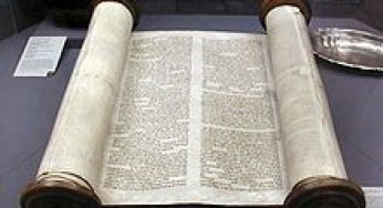 Torah Copilariei Mele – Daniela Reghina Onu